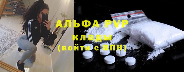 спиды Алзамай
