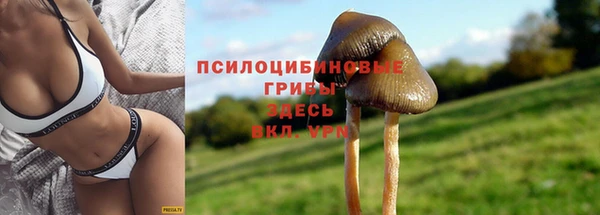 спиды Алзамай