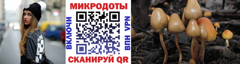 Галлюциногенные грибы Magic Shrooms  Артём 